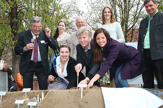 Spargelanstich mit MdL Angelika Schorer und der Schrobenhausener Spargelkönigin Isabella I. am 076.04.2017 auf dem Münchner Viktualienmarkt (©Foto: Martin Schmitz)